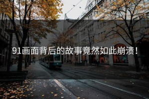 91画面背后的故事竟然如此崩溃！
