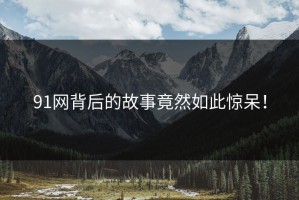 91网背后的故事竟然如此惊呆！