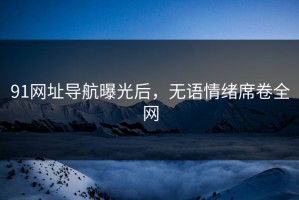 91网址导航曝光后，无语情绪席卷全网