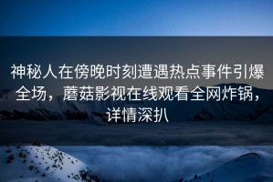 神秘人在傍晚时刻遭遇热点事件引爆全场，蘑菇影视在线观看全网炸锅，详情深扒