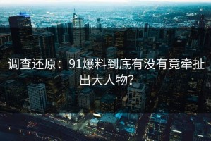 调查还原：91爆料到底有没有竟牵扯出大人物？
