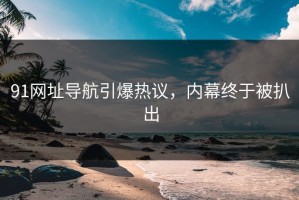91网址导航引爆热议，内幕终于被扒出