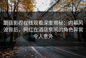 蘑菇影视在线观看深度揭秘：内幕风波背后，网红在酒店房间的角色异常令人意外
