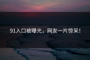 91入口被曝光，网友一片惊呆！