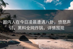 圈内人在今日凌晨遭遇八卦，愤怒声讨，黑料全网炸锅，详情围观