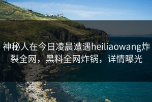 神秘人在今日凌晨遭遇heiliaowang炸裂全网，黑料全网炸锅，详情曝光