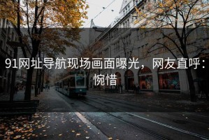 91网址导航现场画面曝光，网友直呼：惋惜