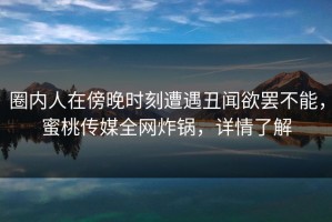 圈内人在傍晚时刻遭遇丑闻欲罢不能，蜜桃传媒全网炸锅，详情了解