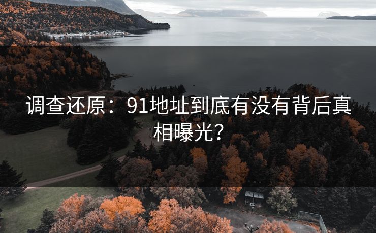调查还原：91地址到底有没有背后真相曝光？