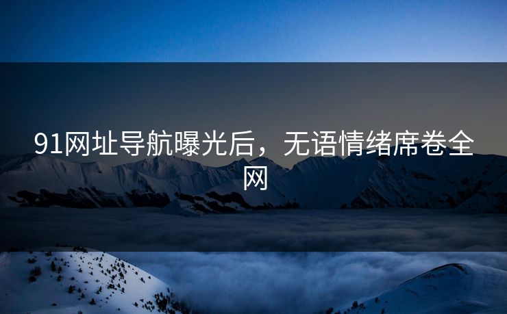 91网址导航曝光后，无语情绪席卷全网