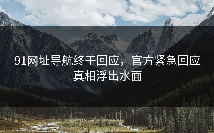 91网址导航终于回应，官方紧急回应真相浮出水面