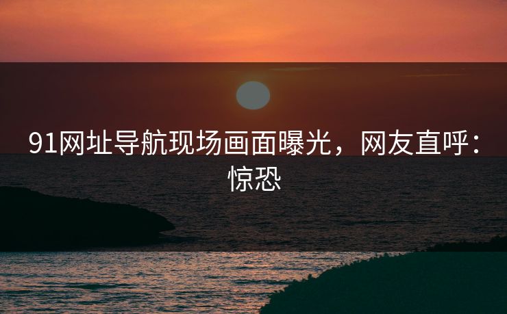91网址导航现场画面曝光，网友直呼：惊恐