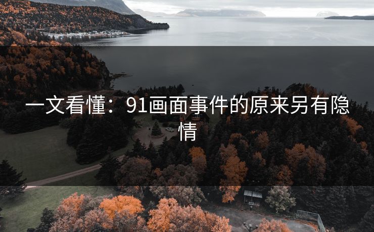 一文看懂：91画面事件的原来另有隐情