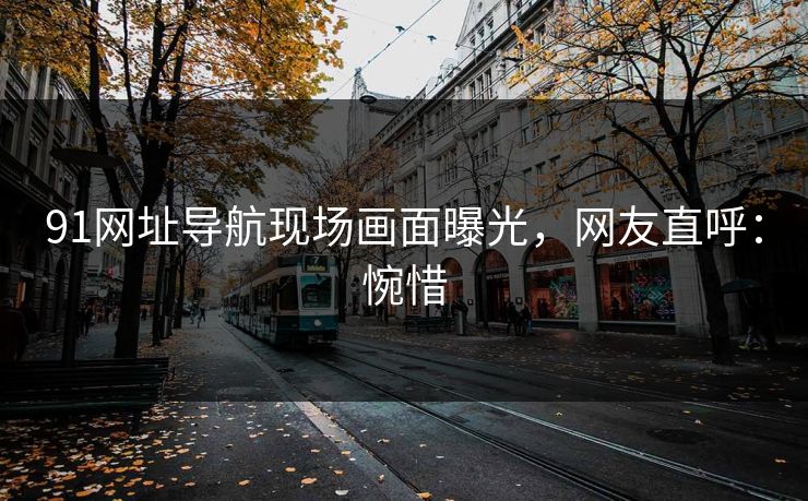 91网址导航现场画面曝光，网友直呼：惋惜