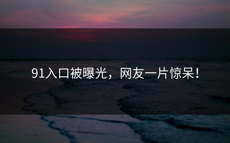 91入口被曝光，网友一片惊呆！
