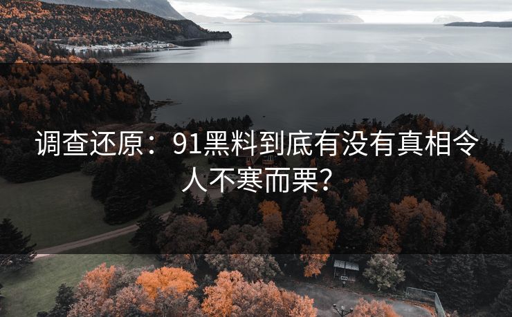 调查还原：91黑料到底有没有真相令人不寒而栗？