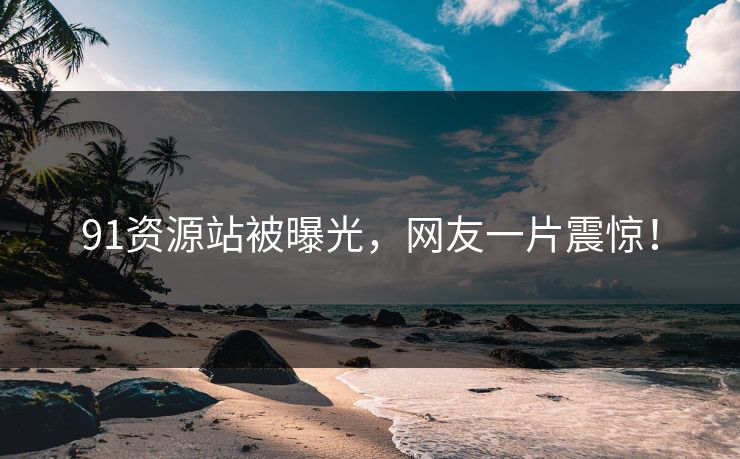 91资源站被曝光，网友一片震惊！