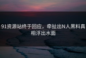 91资源站终于回应，牵扯出N人黑料真相浮出水面