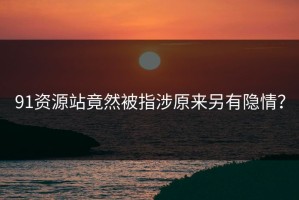 91资源站竟然被指涉原来另有隐情？