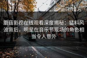 蘑菇影视在线观看深度揭秘：猛料风波背后，明星在音乐节现场的角色相当令人意外