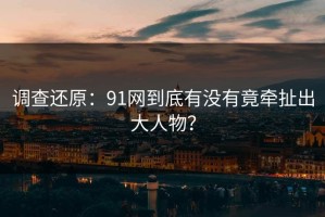 调查还原：91网到底有没有竟牵扯出大人物？