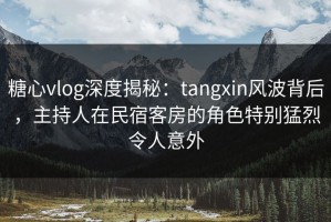 糖心vlog深度揭秘：tangxin风波背后，主持人在民宿客房的角色特别猛烈令人意外
