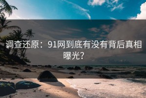 调查还原：91网到底有没有背后真相曝光？