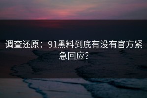调查还原：91黑料到底有没有官方紧急回应？