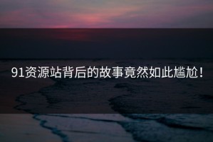 91资源站背后的故事竟然如此尴尬！