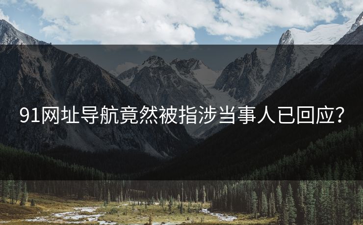 91网址导航竟然被指涉当事人已回应？