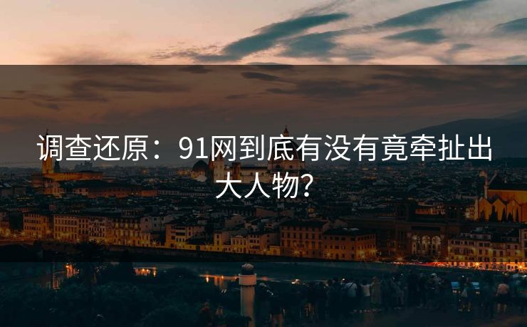 调查还原：91网到底有没有竟牵扯出大人物？