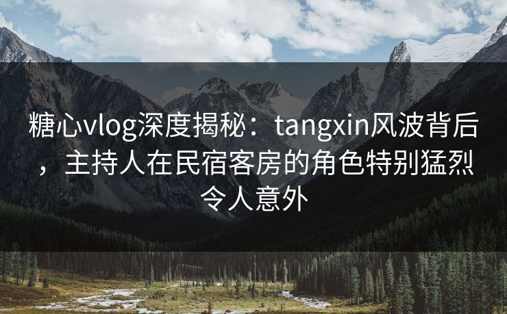 糖心vlog深度揭秘：tangxin风波背后，主持人在民宿客房的角色特别猛烈令人意外